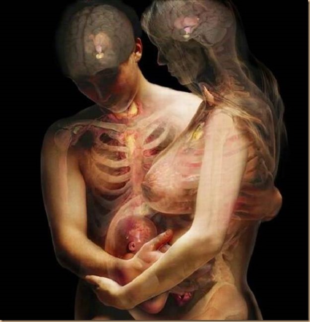 Translúcido - casal e grávida