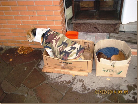 Moradores de rua 2 - VM