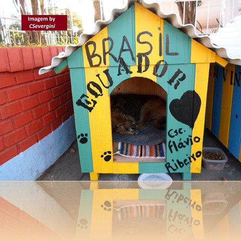 2014-07- Casinha de cão - by CSevergini