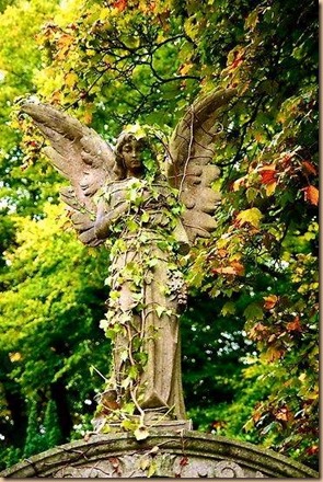 10606377_322117277951869_4832426039603143012_n