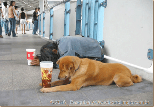 mendigo e cão