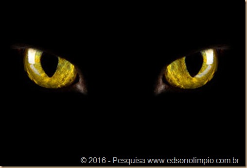 meuamigogato.blogspot.com EYES