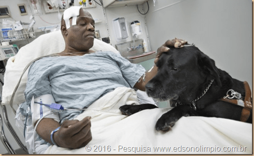 orlando-e-o-seu-dono cego Cecil - salvou de ser atropelado pelo metrô de Manhattan