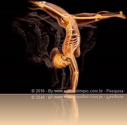 Translúcido - ginástica