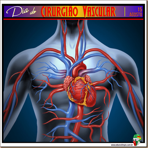 08 - Cirurgião Vascular - 15 Agosto