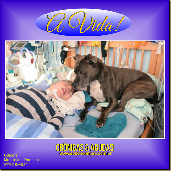 A Vida - Cão e a Criança enferma - 2016