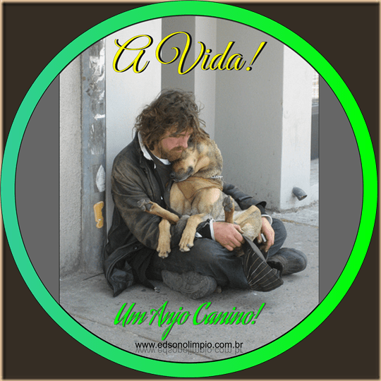 A Vida - Mendigo e o Cão - Anjo Canino - 2016