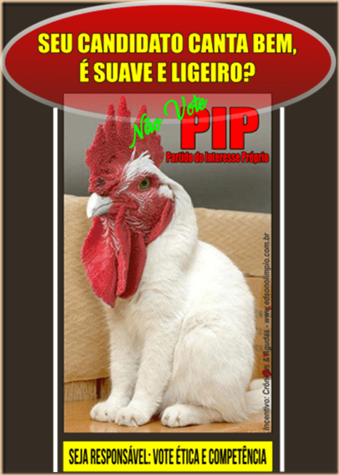 P8 - Galo-Gato - 2016