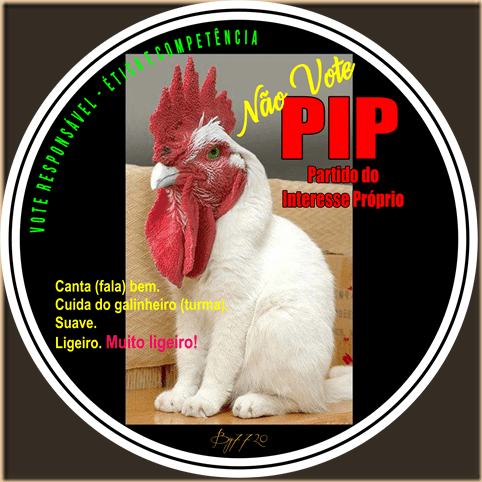 P9 - Galo-Gato - 2016-09