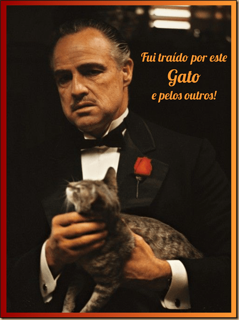 P31 - A Culpa é do Gato