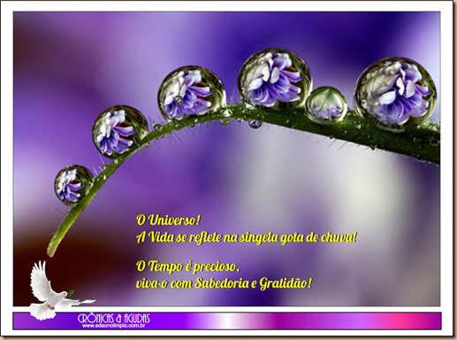 Gota de Chuva - 2018