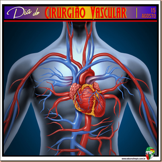 08 - Cirurgião Vascular - 15 Agosto