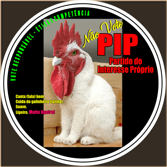 P8 - Galo-Gato - 2016-09