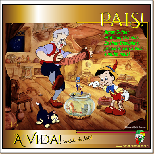 Vida 44 - 2017 - Pais