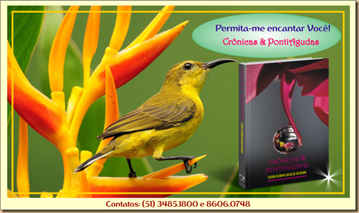 1A Cr & PontiAg - Pássaro Amarelo (2)