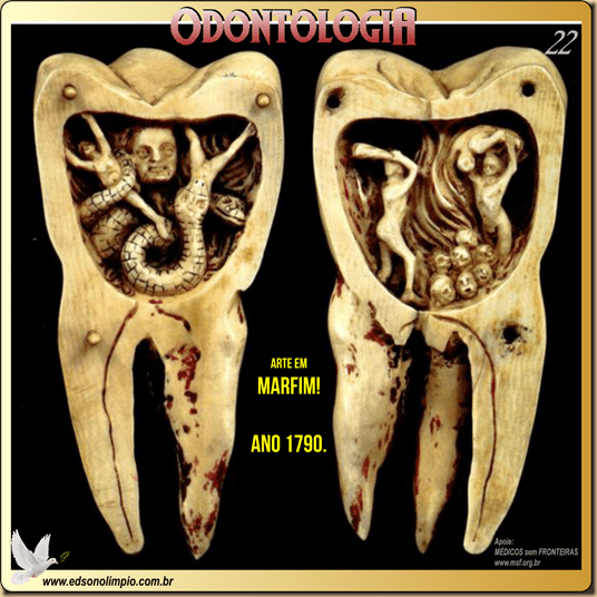 Odonto 22