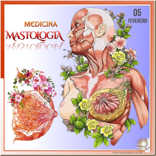 Mastologia - Medicina - 05 Fevereiro