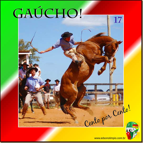 Gaúcho - 17 Doma